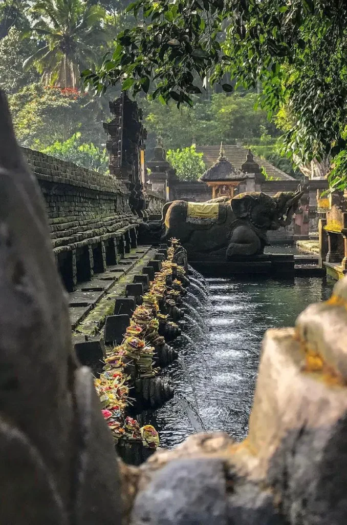 Ubud Tour - Gallery Image 3