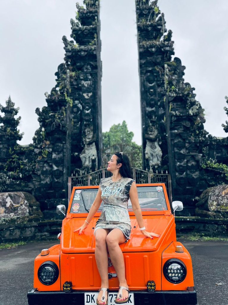 Vintage Volkswgen Tour