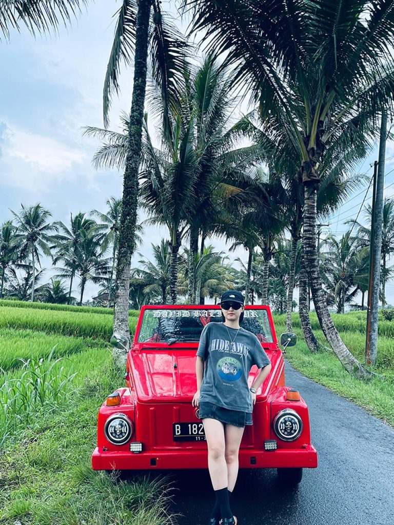 Vintage Volkswgen Tour - Gallery Image 2