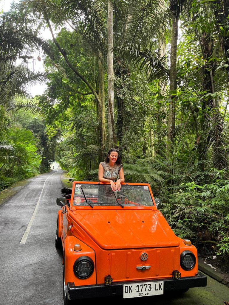 Vintage Volkswgen Tour - Gallery Image 4