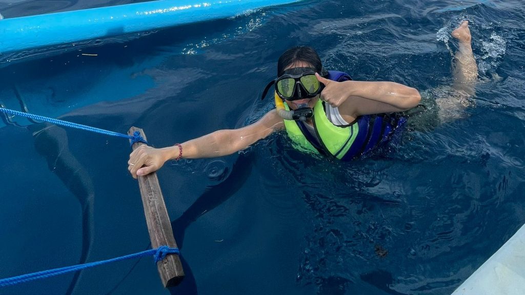 Dolphin Watching Tour - Gallery Image 3