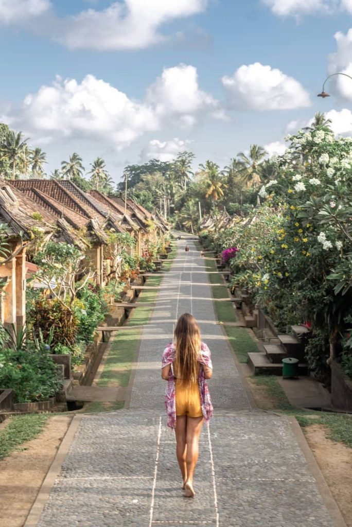 North Bali Tour - Gallery Image 3