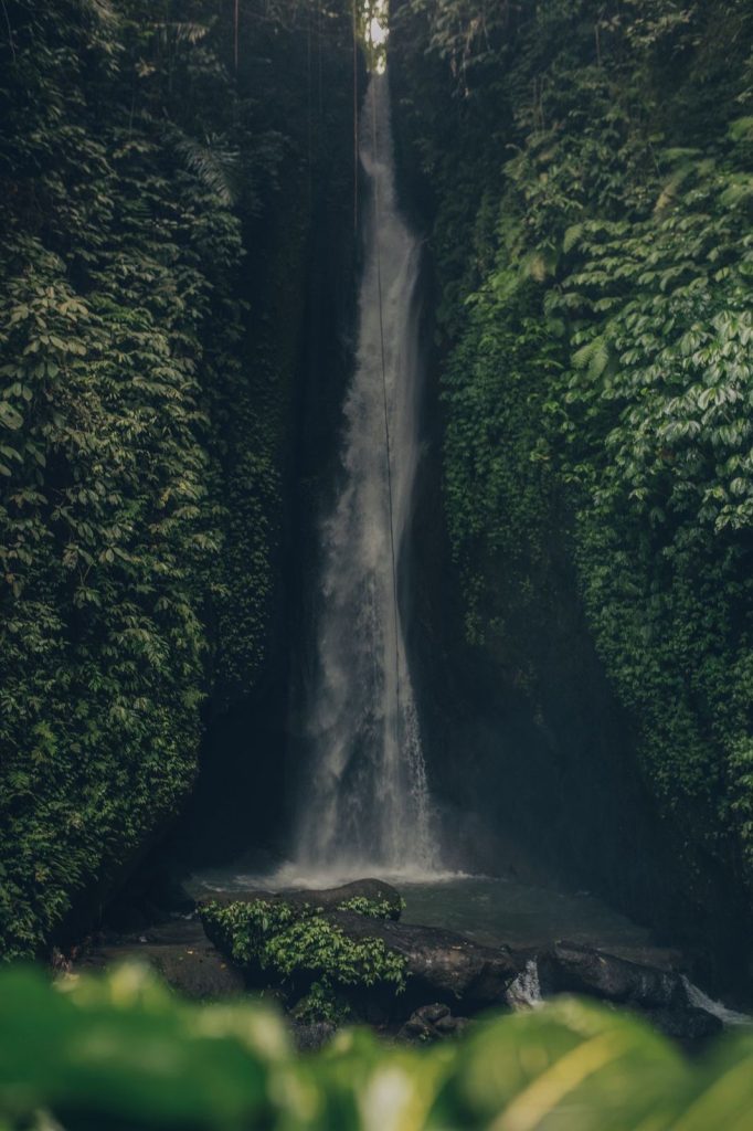 West Bali Tour - Gallery Image 4