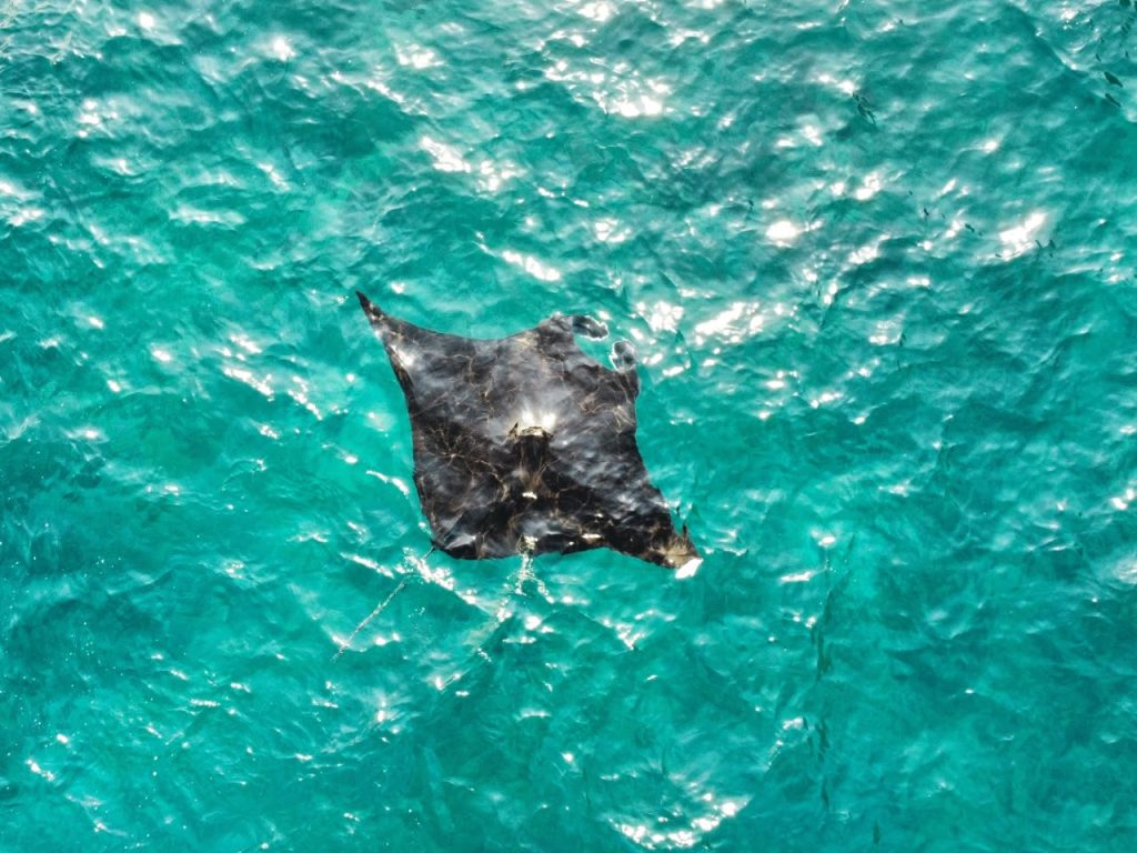 Nusa Penida One Day Tour - Gallery Image 3
